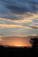 dawn