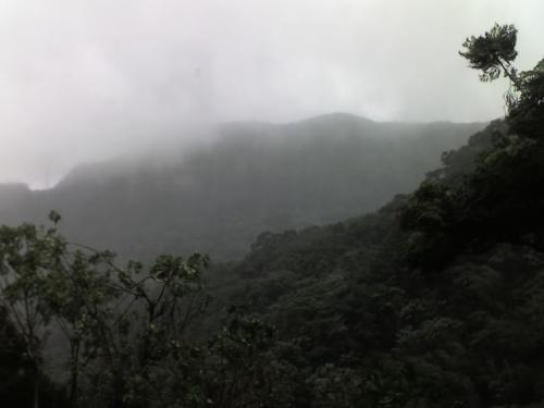 茶屋からの風景?