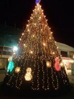 サイパン ダイビング セルフィッシュ