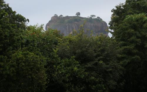 シーギリヤビレッジ