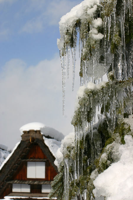 冬景色をとことん堪能するもよし7