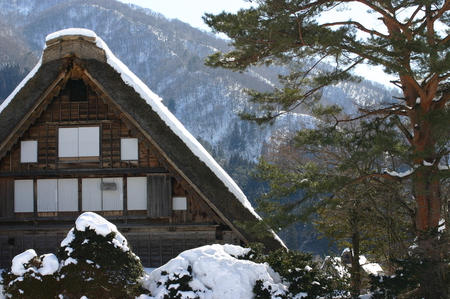 スキーやスノボーはちょと。。でも 8