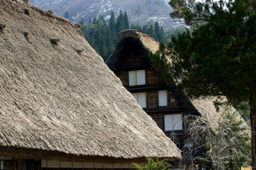 今年のGW(ゴールデンウイーク)白川郷6