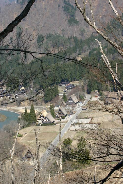 白川郷いよいよ桜の季節が到来!2