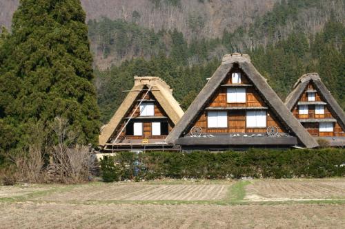白川郷いよいよ桜の季節が到来!9