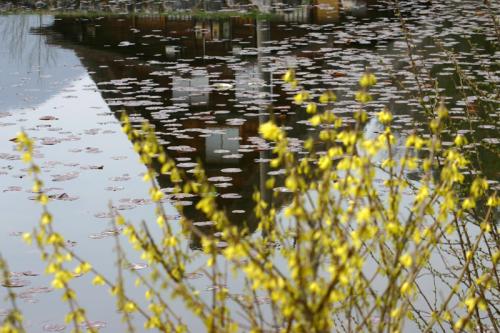 世界遺産白川郷荻町合掌集落〜桜開花〜4