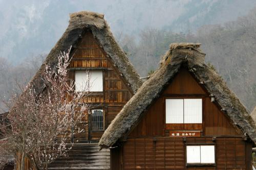 世界遺産白川郷荻町合掌集落〜桜開花〜6