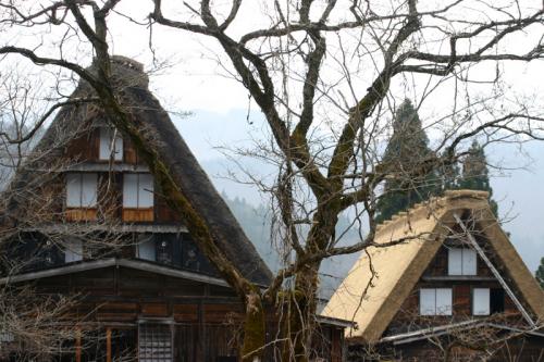 世界遺産白川郷荻町合掌集落〜桜開花〜8