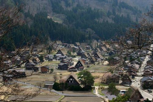 今年お花見できなかった方〜3