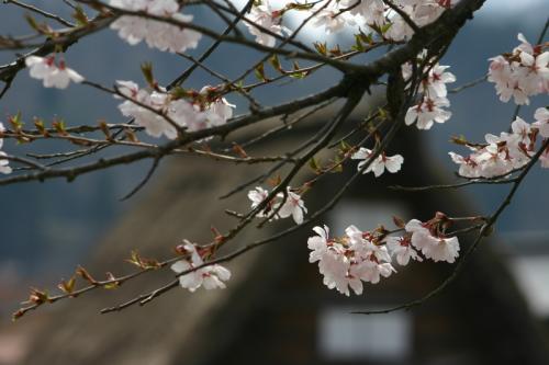 今年のGWは5月3日〜5日の集中型!2