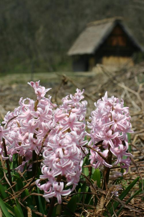 今年のGWは5月3日〜5日の集中型!4