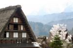 世界遺産 白川郷合掌集落 桜は見頃10