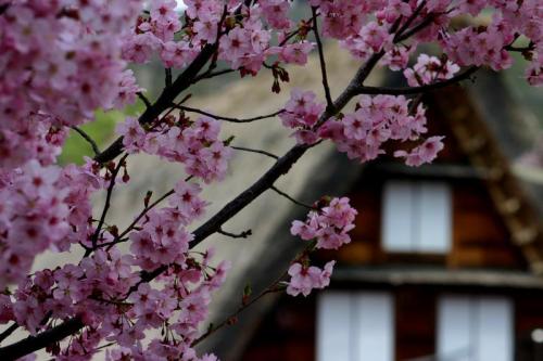 今年も来ました!ゴールデンウィーク1