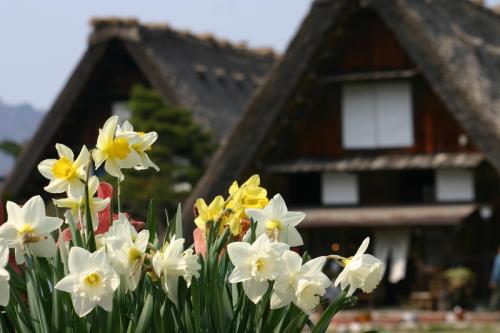 今年も来ました!ゴールデンウィーク2