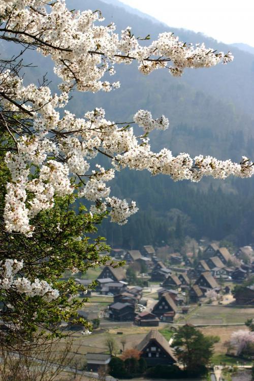 今年も来ました!ゴールデンウィーク5