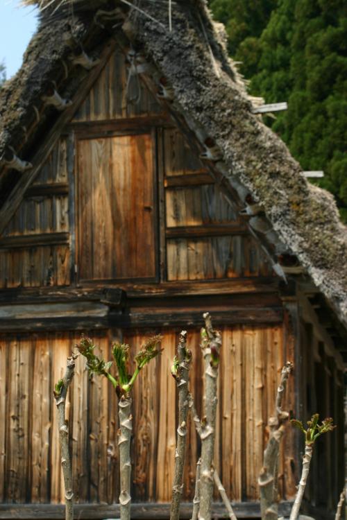 今年も来ました!ゴールデンウィーク6