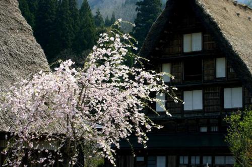 今年も来ました!ゴールデンウィーク7