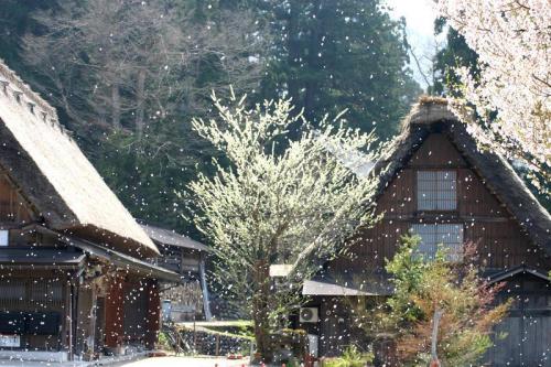 今年も来ました!ゴールデンウィーク8