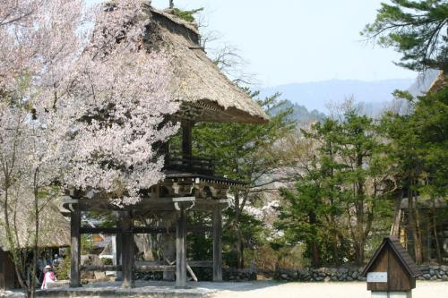 今年も来ました!ゴールデンウィーク9
