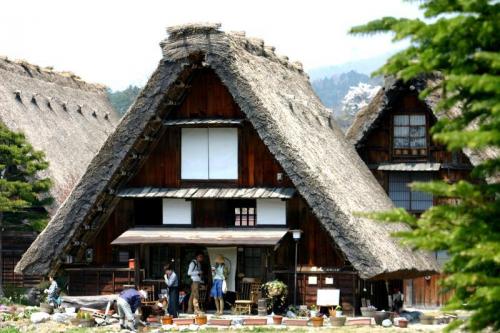 いつもとは違うスタイルで桜を 6