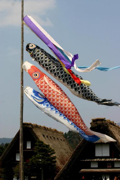 いつもとは違うスタイルで桜を 7