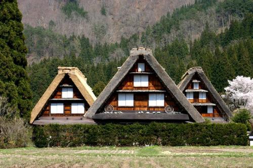 いつもとは違うスタイルで桜を 10