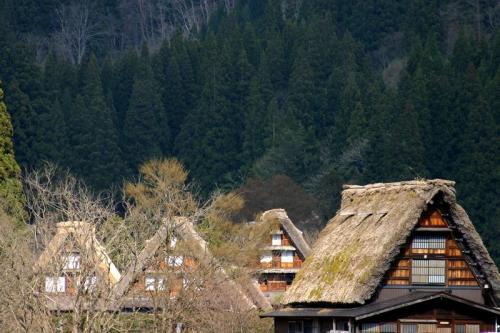 「うわ〜っずごい」っていう景色 4