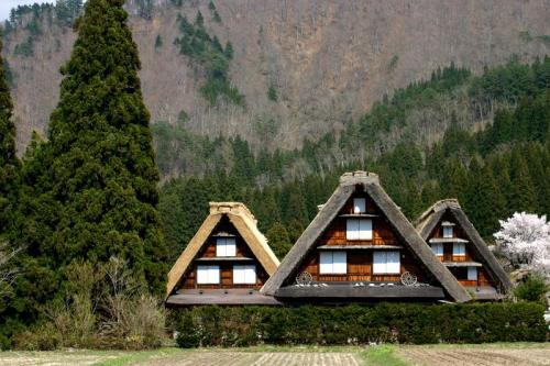 「うわ〜っずごい」っていう景色 5