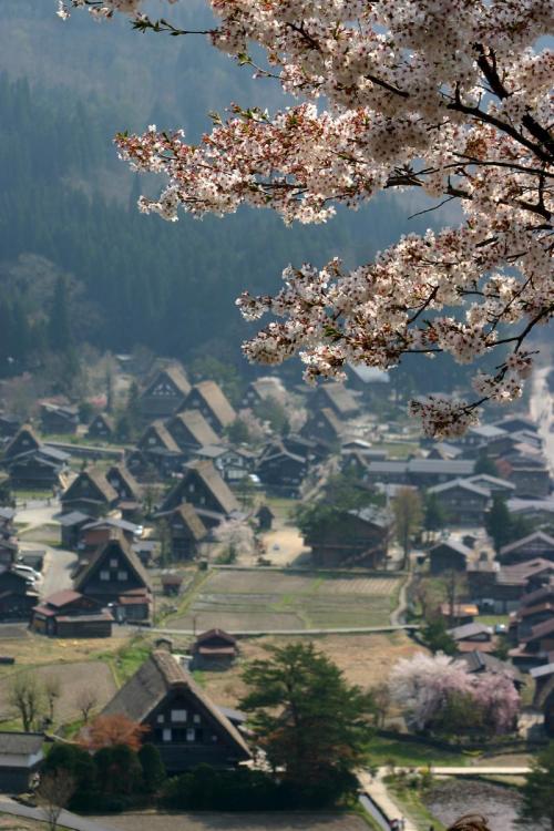 「うわ〜っずごい」っていう景色 6