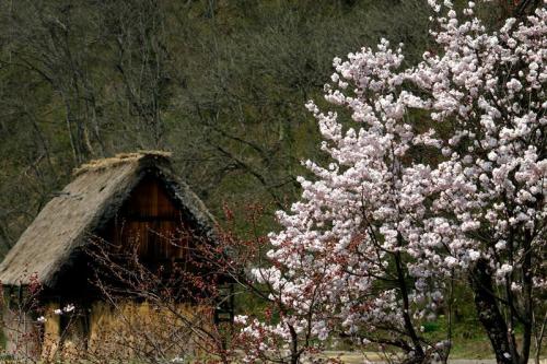 「うわ〜っずごい」っていう景色 8