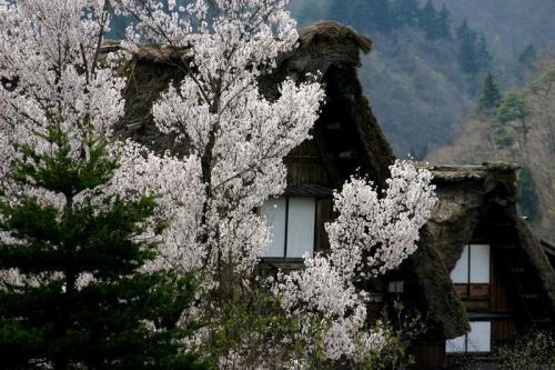 「うわ〜っずごい」っていう景色 9