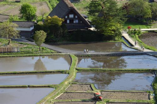新緑の世界遺産 白川郷 1
