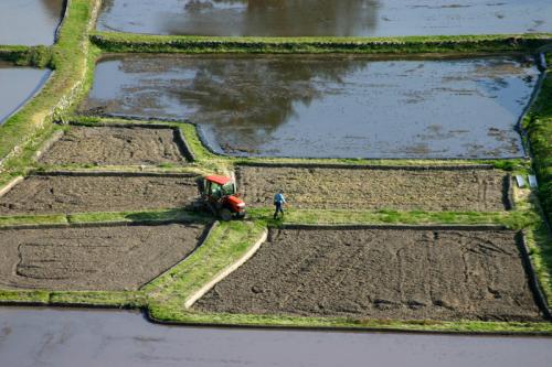 新緑の世界遺産 白川郷 2