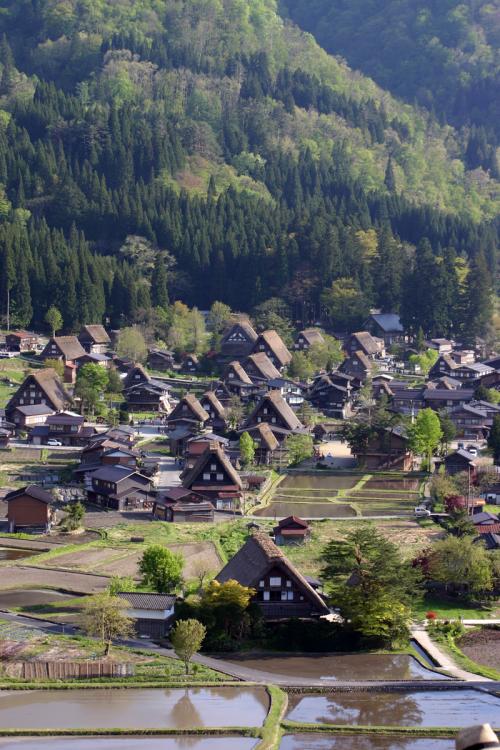 新緑の世界遺産 白川郷 3