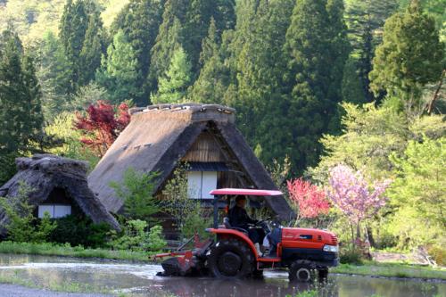 新緑の世界遺産 白川郷 5