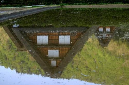 遅れてやってくる春の風物詩 おおた桜 7