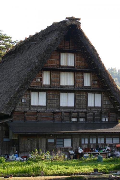 春から初夏の季節替わり〜新緑が眩しい3