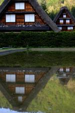 春から初夏の季節替わり〜新緑が眩しい10