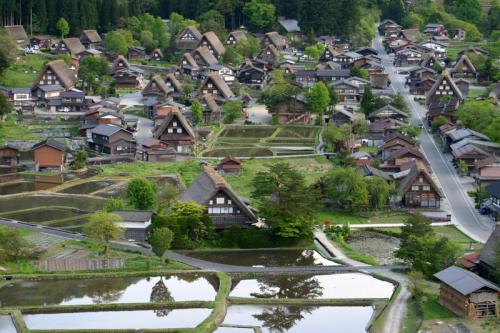 〜新緑の色増す季節〜 心地良い 1