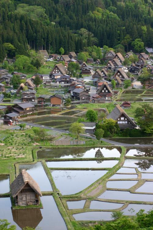 〜新緑の色増す季節〜 心地良い 3