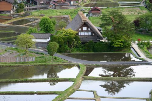 〜新緑の色増す季節〜 心地良い 5