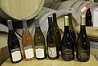 ソムリエと行くワインツアー・ロワールの白ワイン〜サンセールとプイィ・フュメ〜
