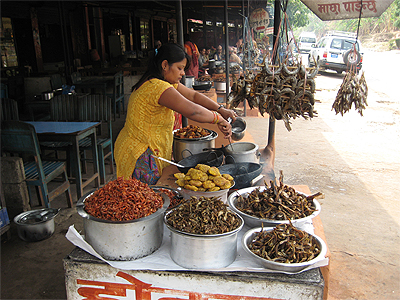 お魚かまどで調理中!