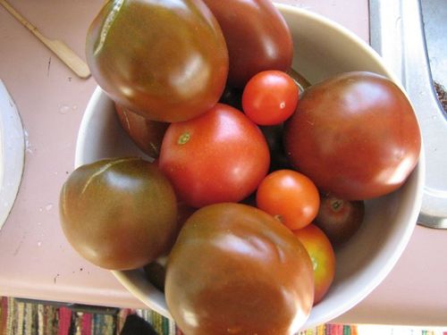 数種類のトマト