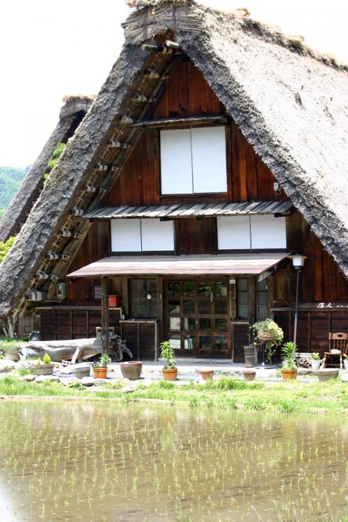梅雨時ですが初夏真っ盛り〜世界遺産 1