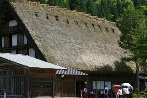 梅雨時ですが初夏真っ盛り〜世界遺産 2