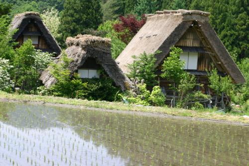 梅雨時ですが初夏真っ盛り〜世界遺産 5