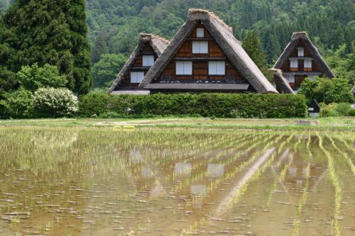 梅雨時ですが初夏真っ盛り〜世界遺産 6