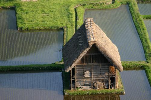 梅雨時ですが初夏真っ盛り〜世界遺産 8