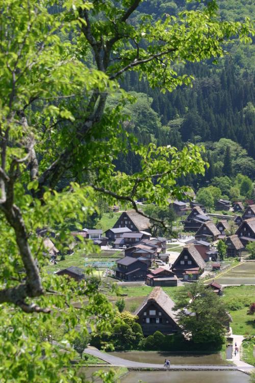 梅雨の季節こそ世界遺産 白川郷へ… 2
